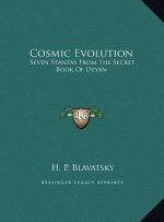 Cosmic Evolution: Seven Stanzas From The Secret Book Of Dzyan