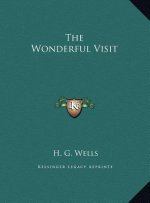 The Wonderful Visit