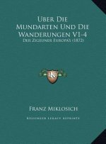 Uber Die Mundarten Und Die Wanderungen V1-4: Der Zigeuner Europa's (1872)