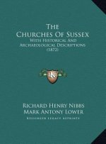 The Churches Of Sussex: With Historical And Archaeological Descriptions (1872)