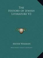 The History of Jewish Literature V3