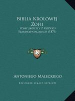 Biblia Krolowej Zofii: Zony Jagielly Z Kodexu Szaroszpatackiego (1871)