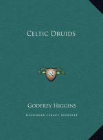 Celtic Druids