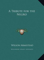 A Tribute for the Negro