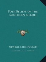 Folk Beliefs of the Southern Negro