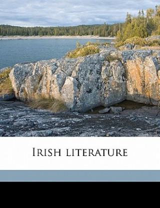 Irish Literature Volume 10