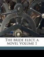 The Bride Elect, a Novel Volume 1