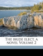 The Bride Elect, a Novel Volume 2
