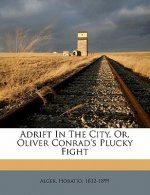 Adrift in the City, Or, Oliver Conrad's Plucky Fight