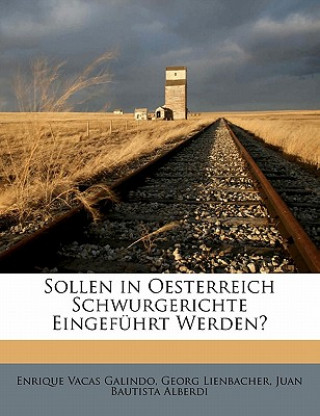 Sollen in Oesterreich Schwurgerichte Eingeführt Werden?