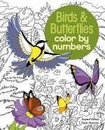 Birds & Butterflies Color by Numbers
