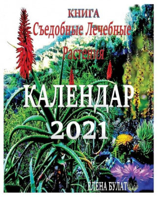 Книга. Календар 2021