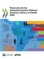 Panorama de Las Administraciones Publicas America Latina Y El Caribe 2020