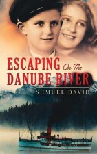 Escaping On The Danube River