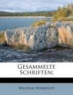 Gesammelte Schriften;