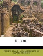 Report