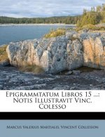 Epigrammtatum Libros 15 ...: Notis Illustravit Vinc. Colesso