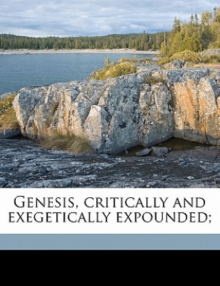 Genesis, Critically and Exegetically Expounded; Volume 2
