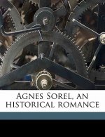 Agnes Sorel, an Historical Romance Volume 2