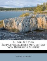 Bilder Aus Dem Schauspielerleben: Mitgetheilt Von Roderich Benedix
