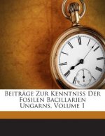 Beitrage Zur Kenntniss Der Fosilen Bacillarien Ungarns, Volume 1