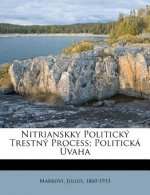 Nitrianskky Politický Trestný Process; Politická Úvaha