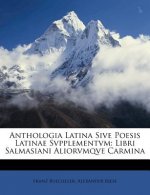 Anthologia Latina Sive Poesis Latinae Svpplementvm: Libri Salmasiani Aliorvmqve Carmina
