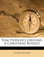 Tom Tiddler's Ground: A Christmas Budget