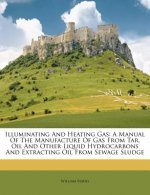 Illuminating and Heating Gas: A Manual of the Manufacture of Gas from Tar, Oil and Other Liquid Hydrocarbons and Extracting Oil from Sewage Sludge