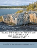 Deutschlands Flora: In Abbildungen Nach Der Natur Mit Beschreibungen. Abt. I., Phanerogamen
