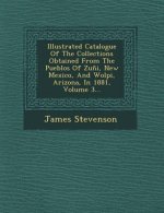 Illustrated Catalogue of the Collections Obtained from the Pueblos of Zuni, New Mexico, and Wolpi, Arizona, in 1881, Volume 3...