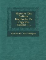 Histoire Des Sultans Mamlouks de L'Egypte, Volume 1...