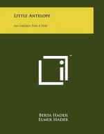 Little Antelope: An Indian For A Day