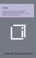 Coal: Economic Problems of the Mining, Marketing and Consumption of Anthracite and Soft Coal in the United States, Facts and