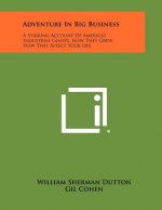 Adventure in Big Business: A Stirring Account of America's Industrial Giants, How They Grew, How They Affect Your Life