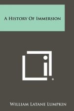 A History of Immersion