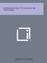 Introduction to Analysis in the Large