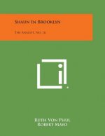 Shaun in Brooklyn: The Analyst, No. 16
