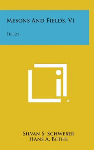 Mesons and Fields, V1: Fields