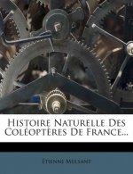 Histoire Naturelle Des Coleopteres de France...