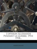L'Opinion Allemande Pendant La Guerre, 1914-1918...