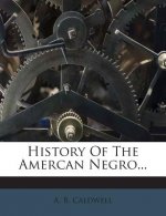 History of the Amercan Negro...