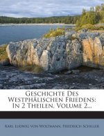 Geschichte Des Westphalischen Friedens: In 2 Theilen, Volume 2...