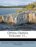 Opera Omnia, Volume 11...
