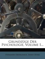 Grundzuge Der Psychologie, Volume 1...
