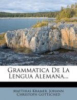 Grammatica de La Lengua Alemana...