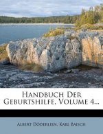 Handbuch Der Geburtshilfe, Volume 4...