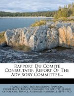 Rapport Du Comite Consultatif: Report of the Advisory Committee...