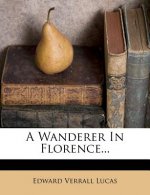 A Wanderer in Florence...