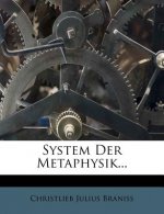 System Der Metaphysik...